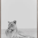 Mercer Black & White XV (Canvas)
