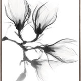 Mercer Black & White XXVI (Canvas)