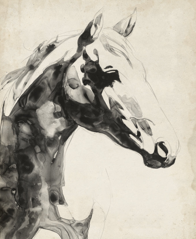 Majestic Beauty II (Canvas)