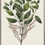 Botanical Bliss III (Canvas)