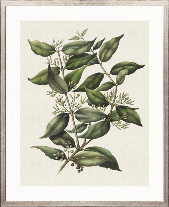 Botanical Bliss V