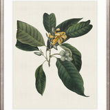 Botanical Bliss VI