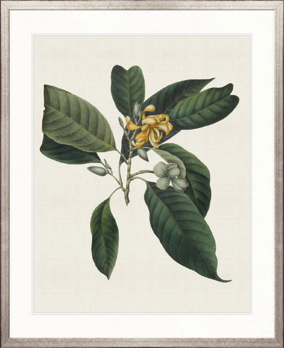Botanical Bliss VI