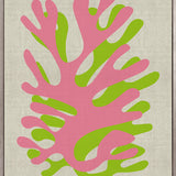 Coral Pop III (Canvas)