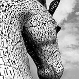 Mythical Kelpie Small (465mm W x 560mm H) / Standard Clear Glass