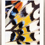 Macey Butterfly I
