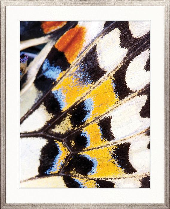 Macey Butterfly I