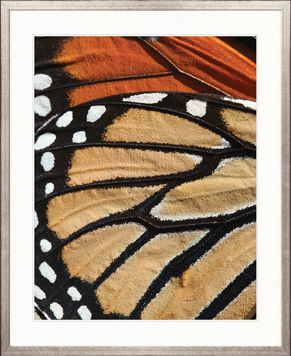 Macey Butterfly II