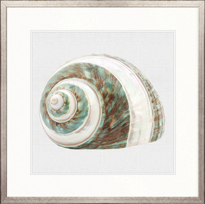 Shell Subject I