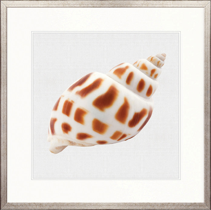 Shell Subject III