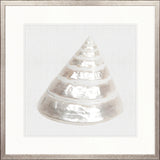 Shell Subject IV