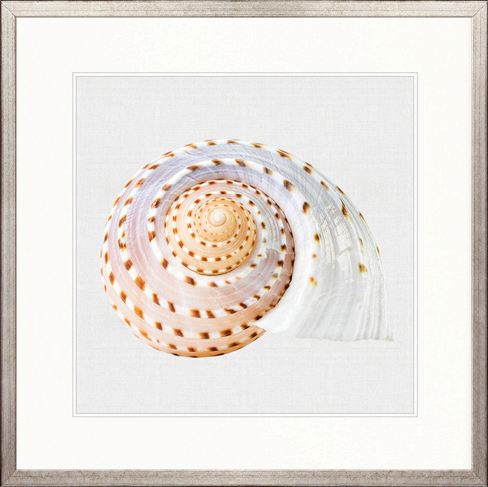 Shell Subject V