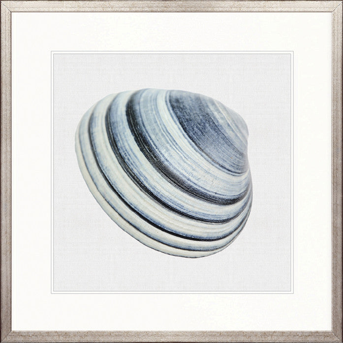 Shell Subject VI