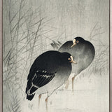 Naoko Bird III (Canvas)