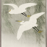 Naoko Bird V (Canvas)