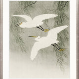 Naoko Bird V