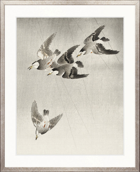 Naoko Bird VI