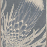 Protea Silhouette I (Canvas)