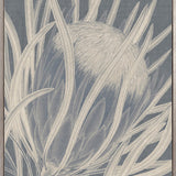 Protea Silhouette II (Canvas)