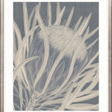Protea Silhouette II