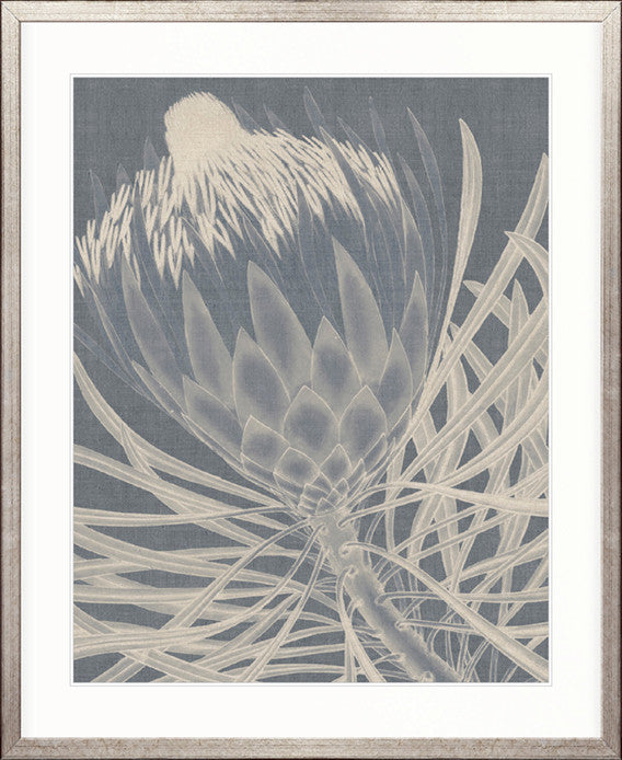 Protea Silhouette III