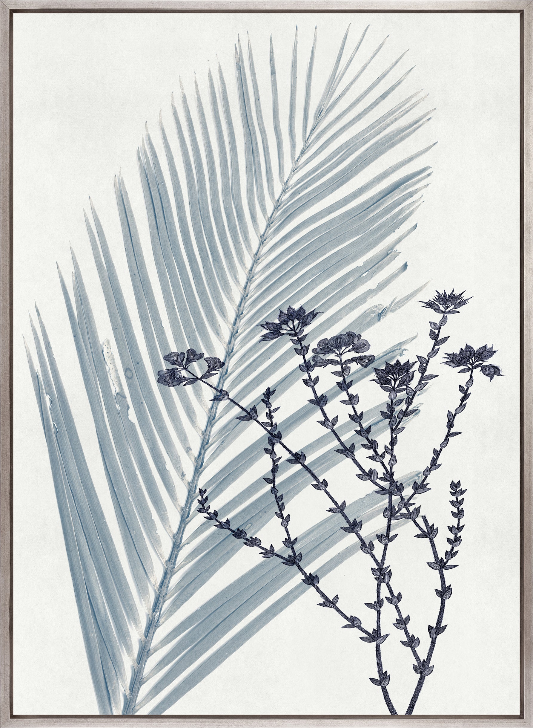 Naturalist Still LIfe I (Canvas)