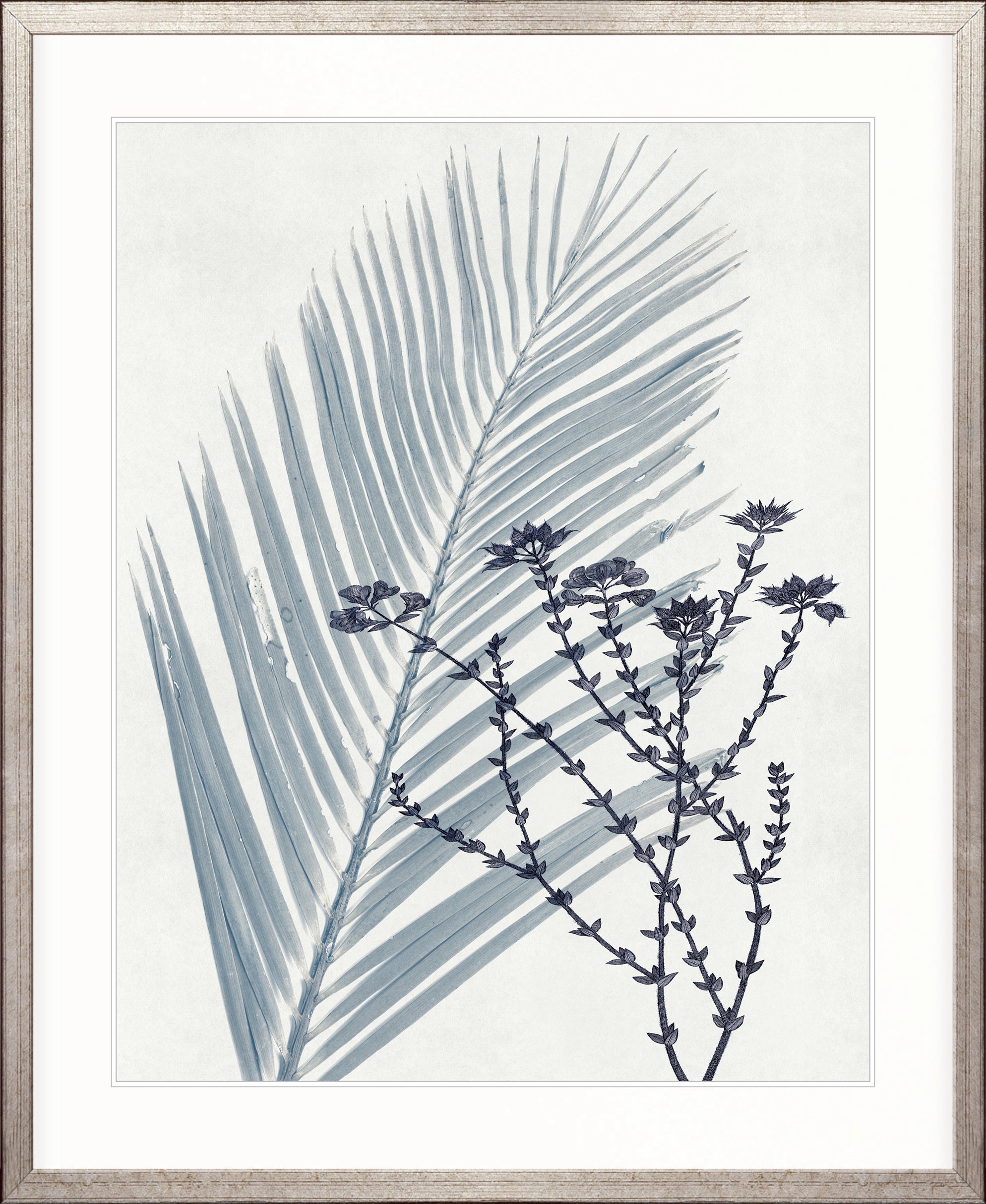 Naturalist Still LIfe I