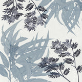 Naturalist Still LIfe II