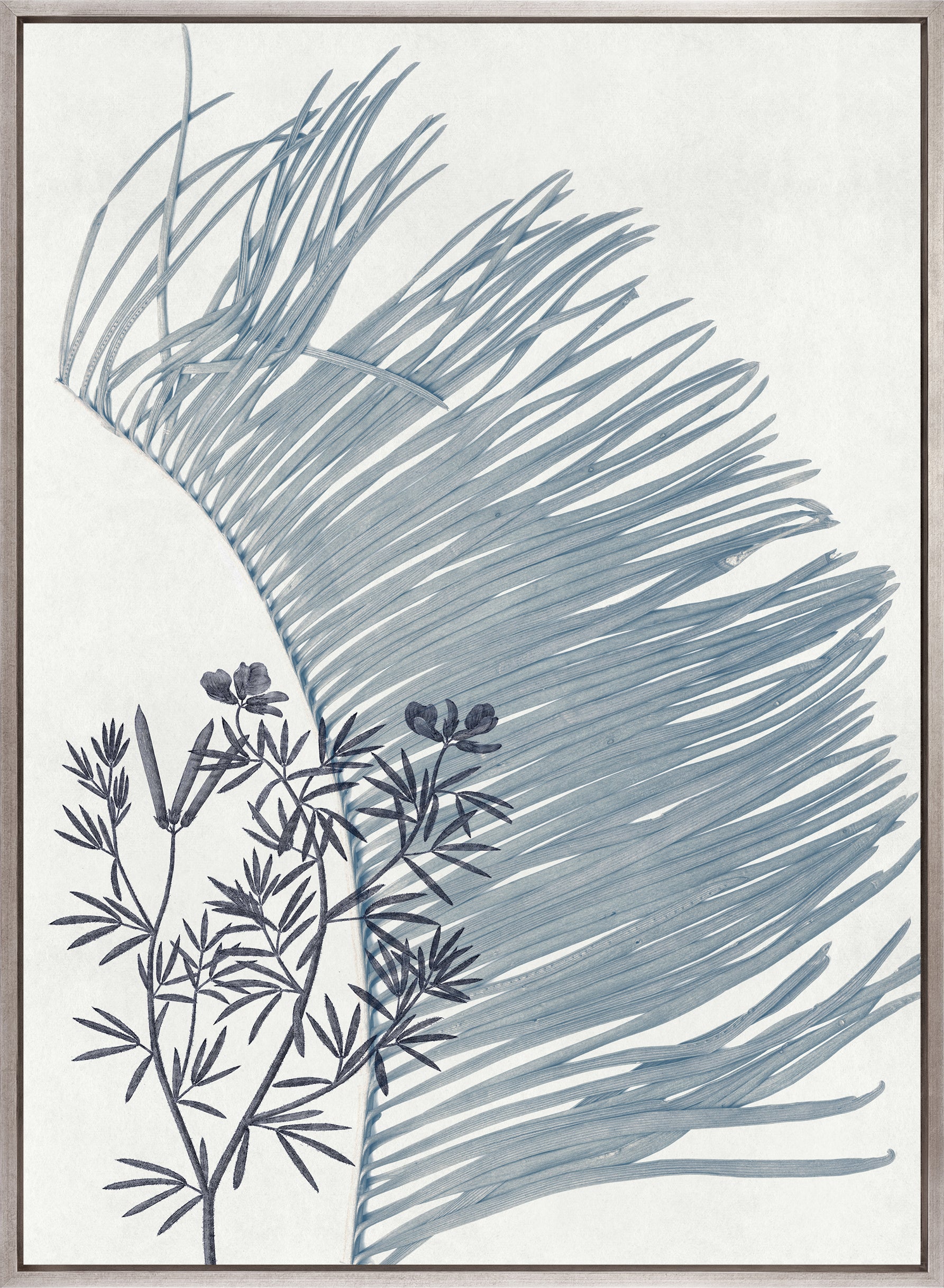 Naturalist Still LIfe III (Canvas)
