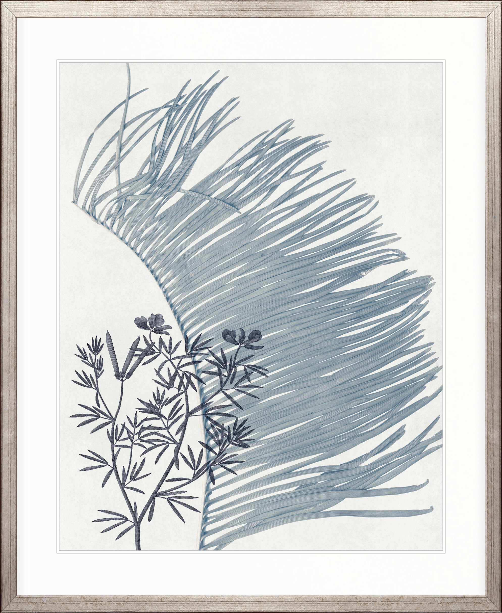 Naturalist Still LIfe III