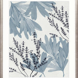 Naturalist Still LIfe IV X-Large (1000mm W x 1400mm H) / Clear Acrylic