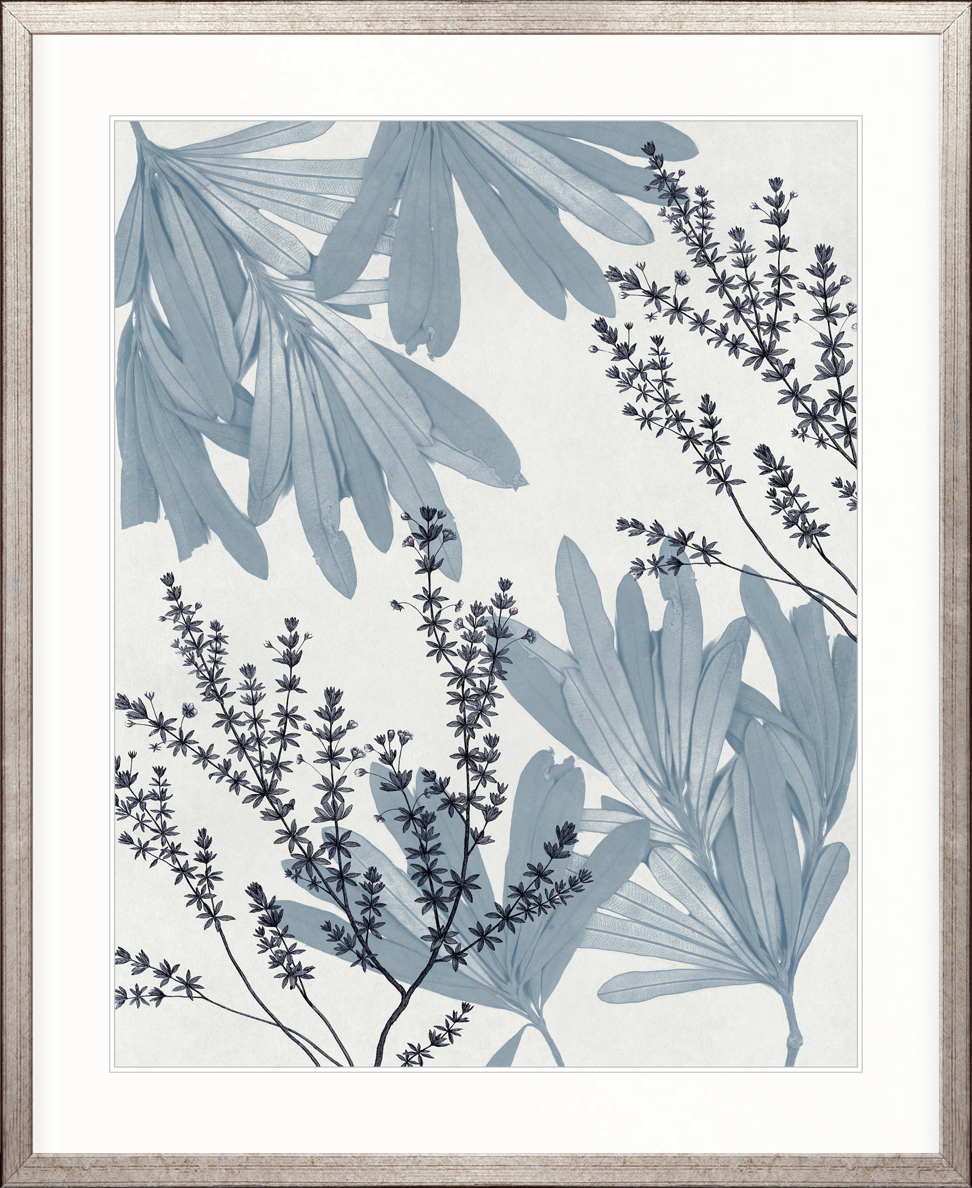Naturalist Still LIfe IV X-Large (1000mm W x 1400mm H) / Clear Acrylic