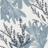 Naturalist Still LIfe IV