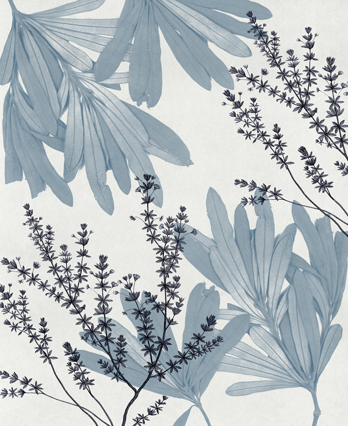 Naturalist Still LIfe IV