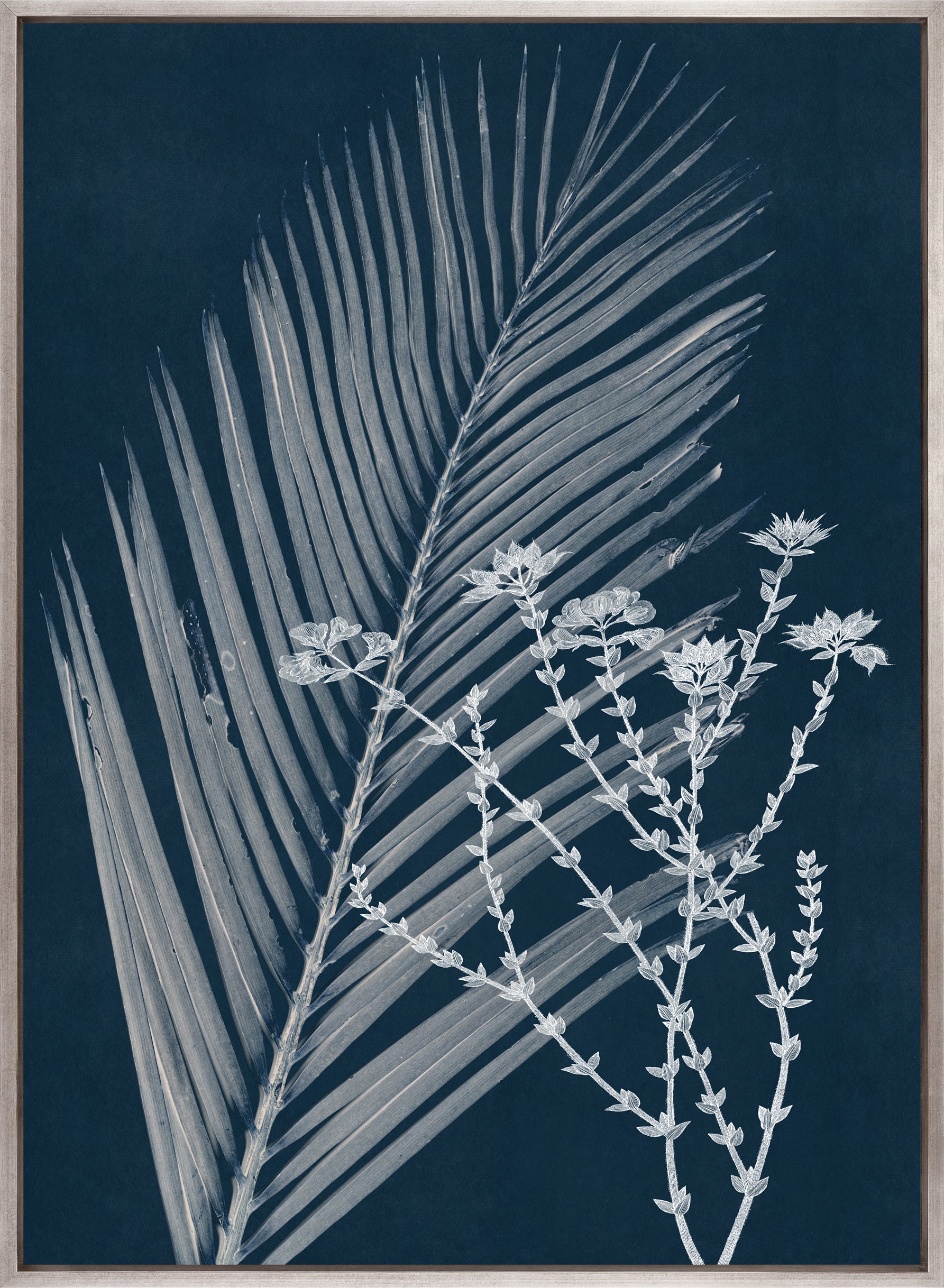 Naturalist Still LIfe V (Canvas)