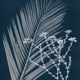 Naturalist Still LIfe V (Canvas) Large (903mm W x 1109mm H)