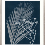 Naturalist Still LIfe V X-Large (1000mm W x 1400mm H) / Clear Acrylic