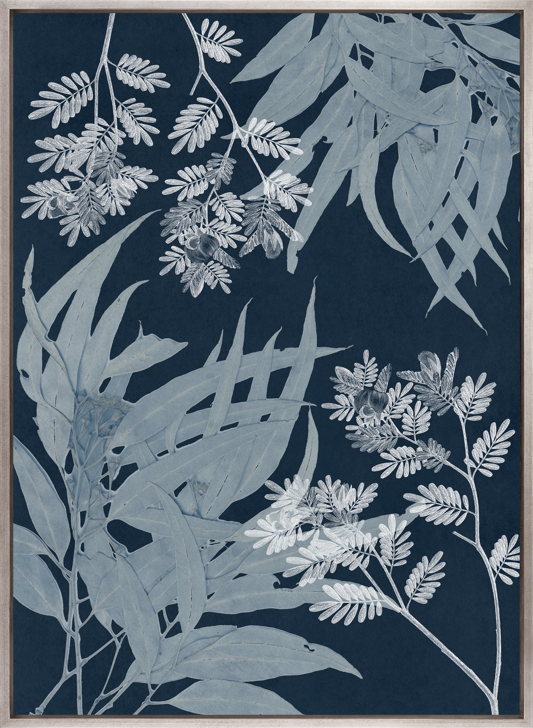 Naturalist Still LIfe VI (Canvas)