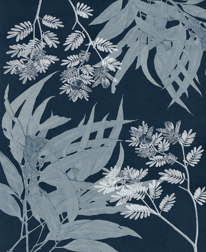 Naturalist Still LIfe VI (Canvas)