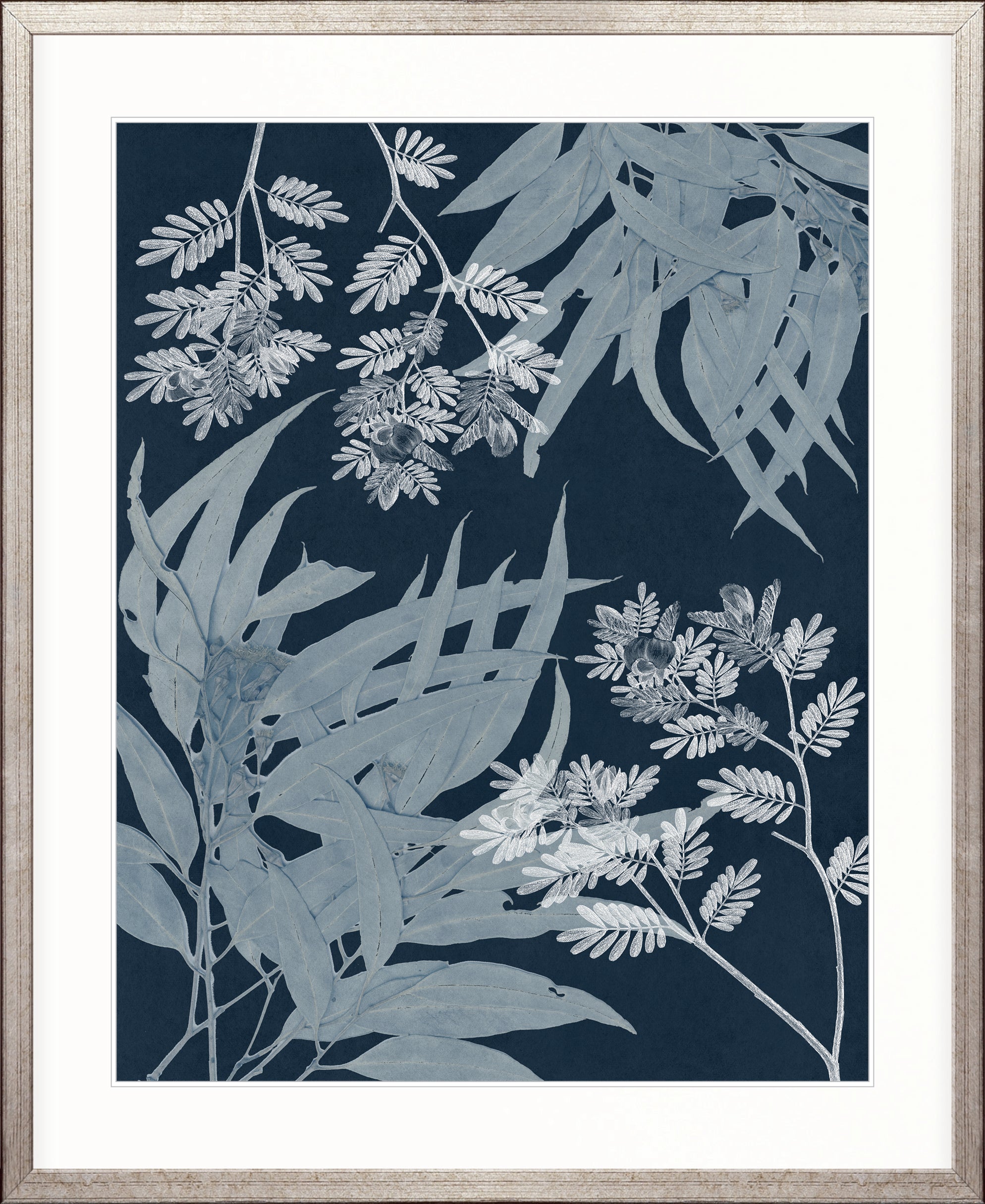 Naturalist Still LIfe VI
