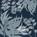Naturalist Still LIfe VI