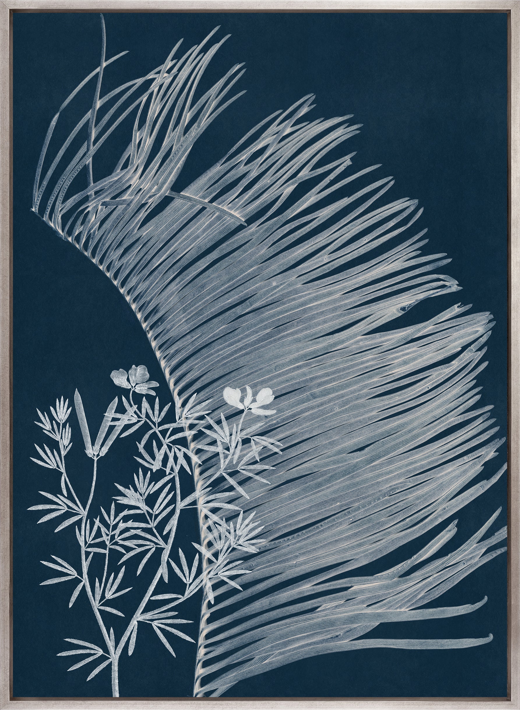 Naturalist Still LIfe VII (Canvas)