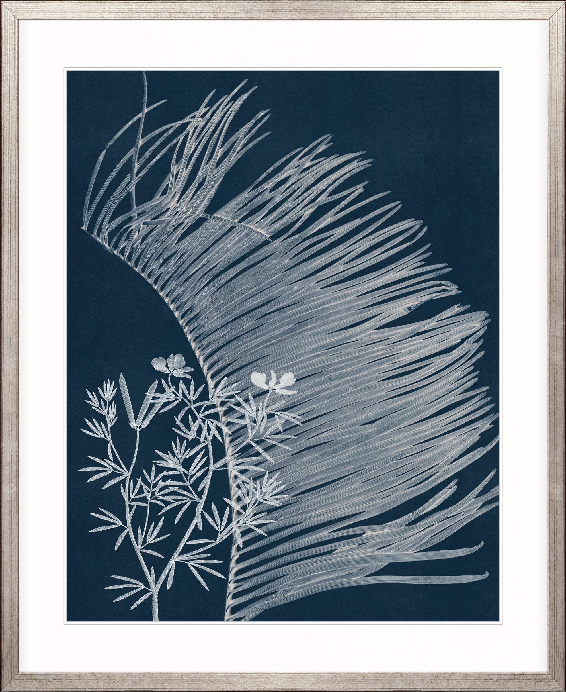 Naturalist Still LIfe VII