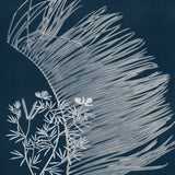 Naturalist Still LIfe VII
