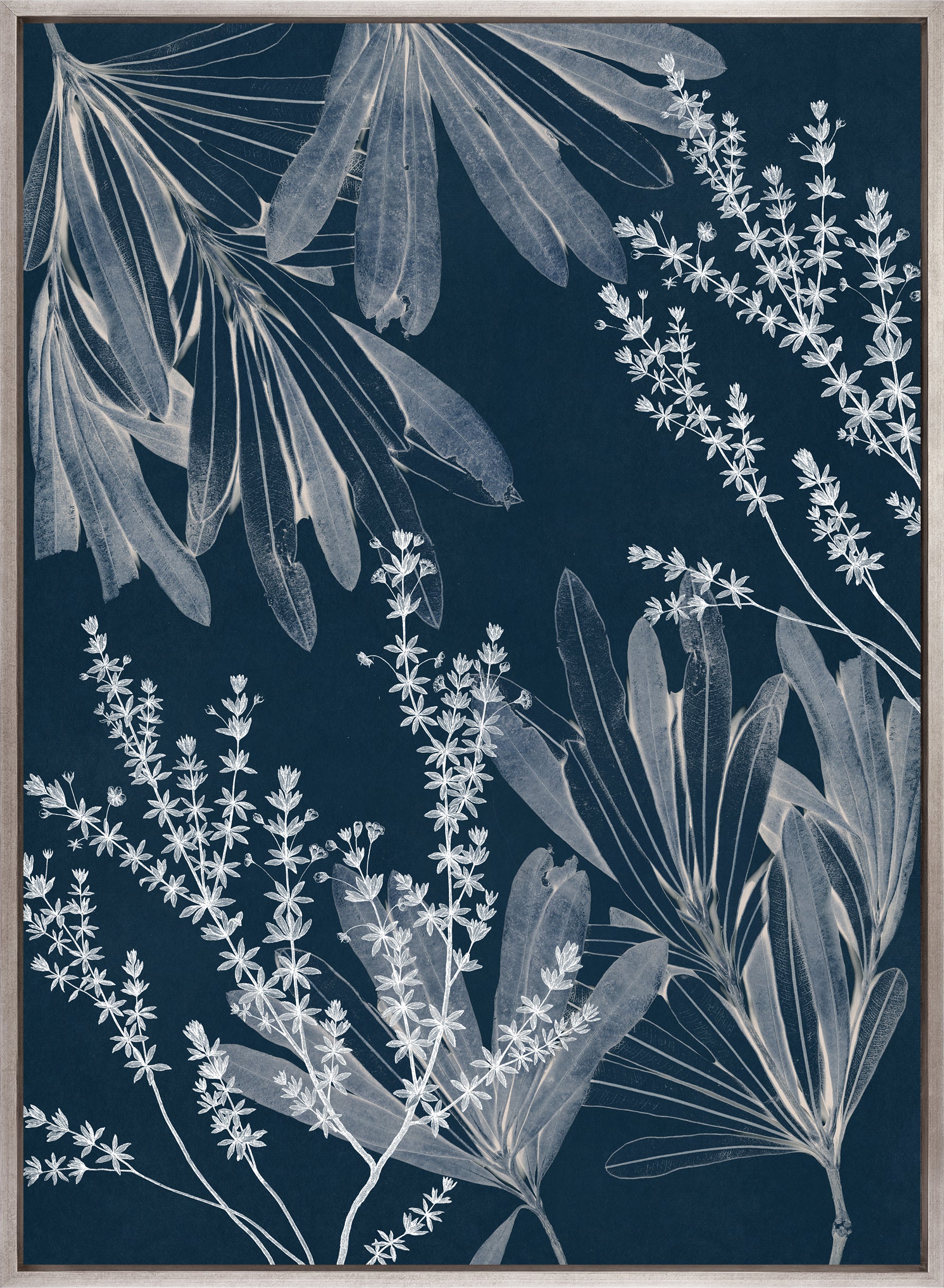 Naturalist Still LIfe VIII (Canvas)