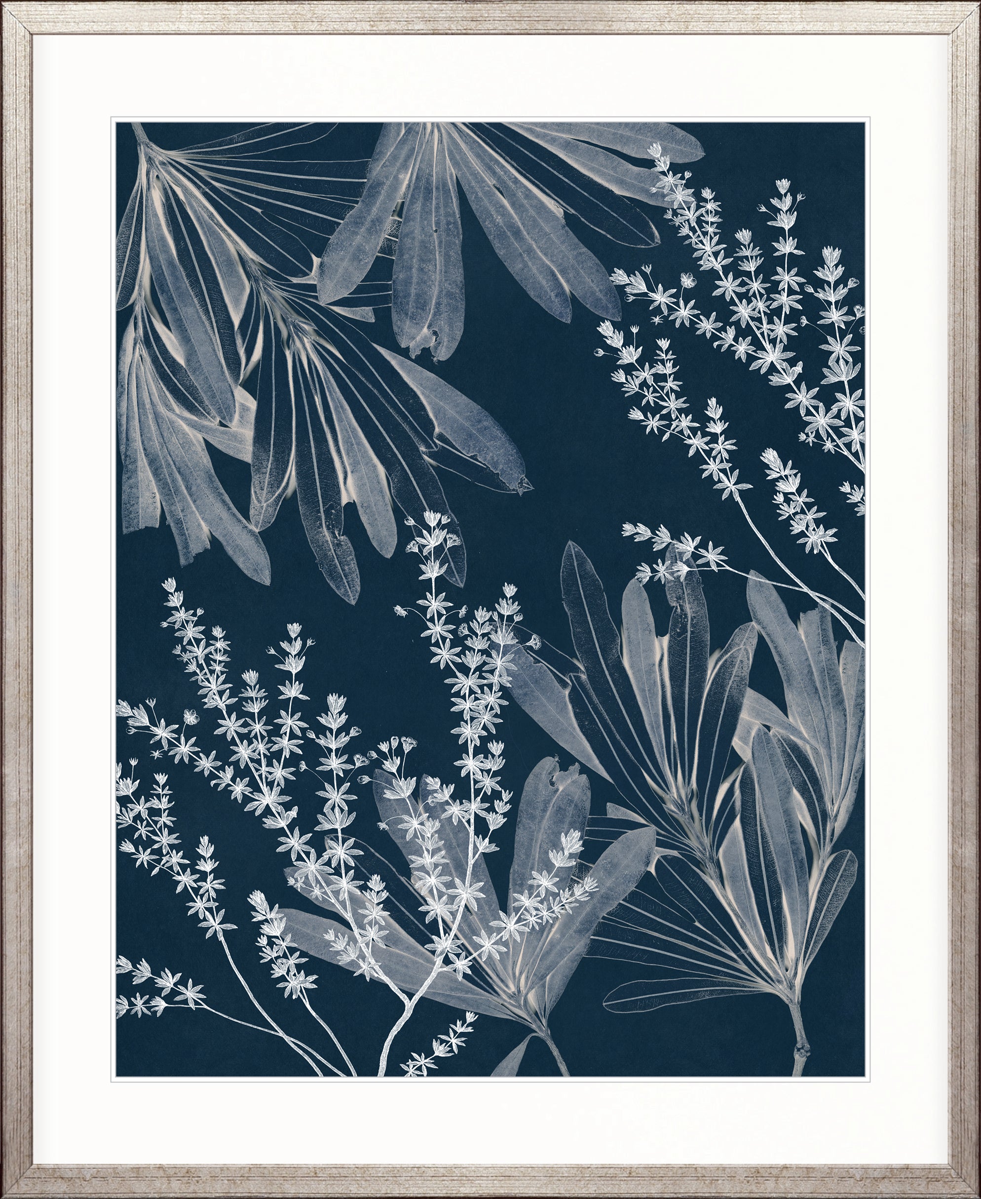 Naturalist Still LIfe VIII