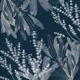 Naturalist Still LIfe VIII
