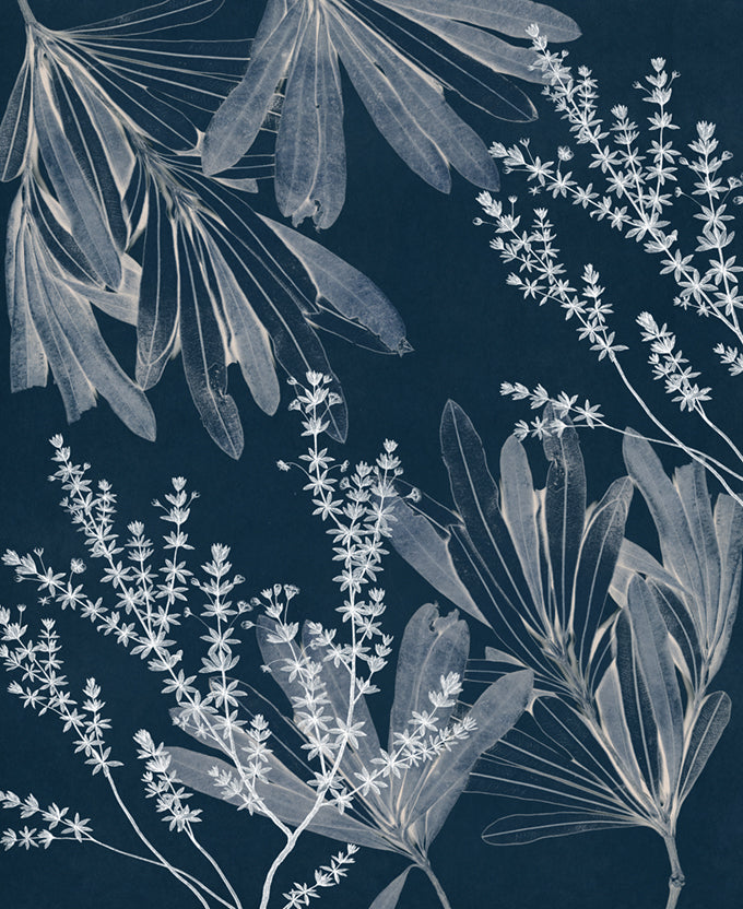 Naturalist Still LIfe VIII