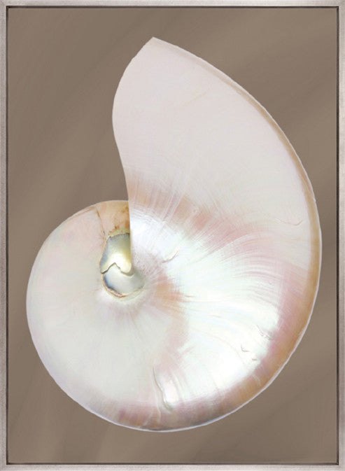 Nautilus Shell I (Canvas)