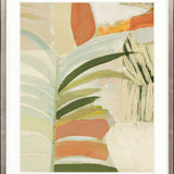 Nova Tropics IV